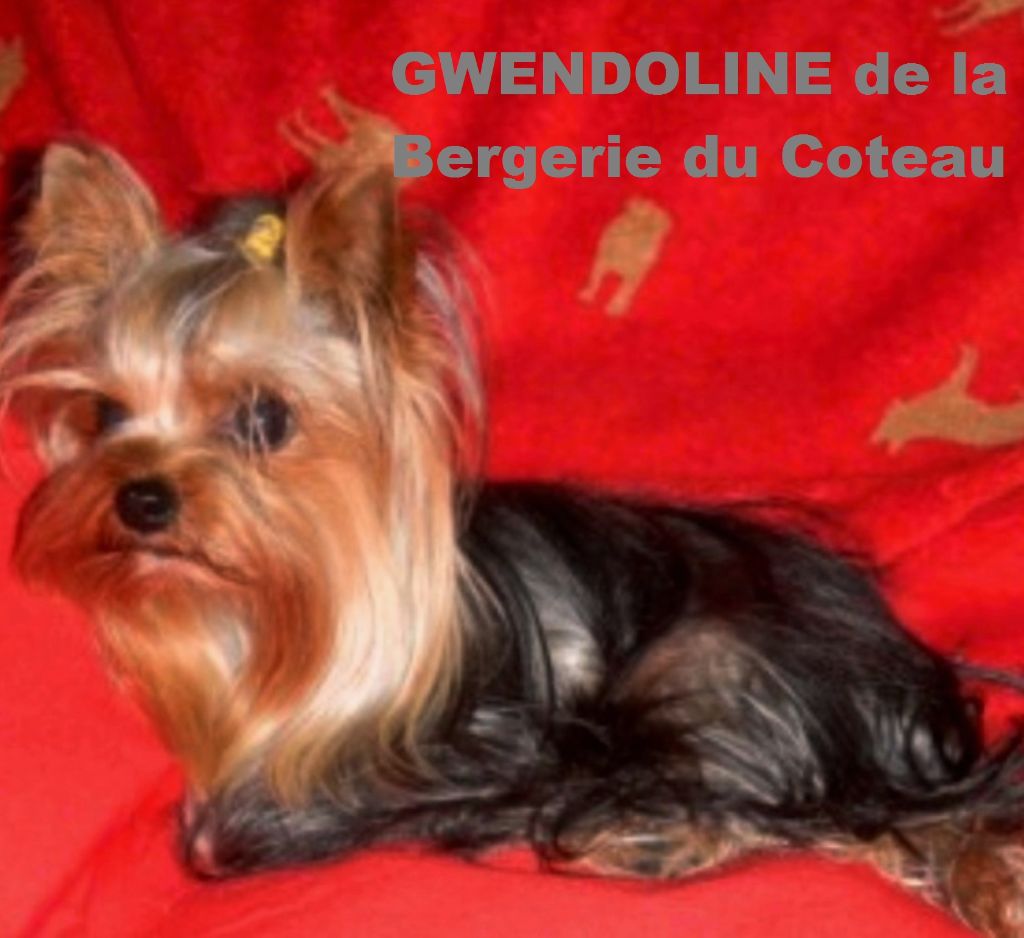 Gwendoline De la Bergerie du Coteau