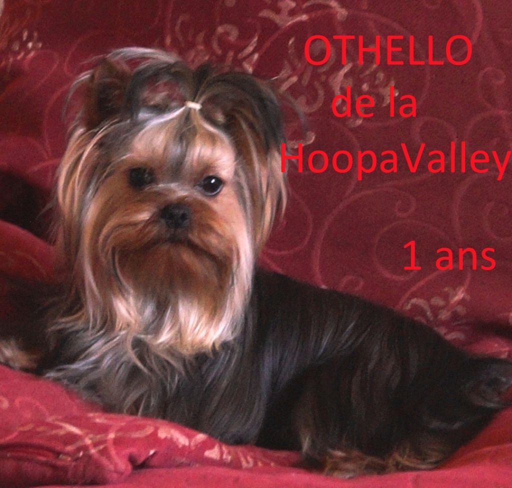 Othello De la hoopa valley