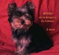 NYSSIA