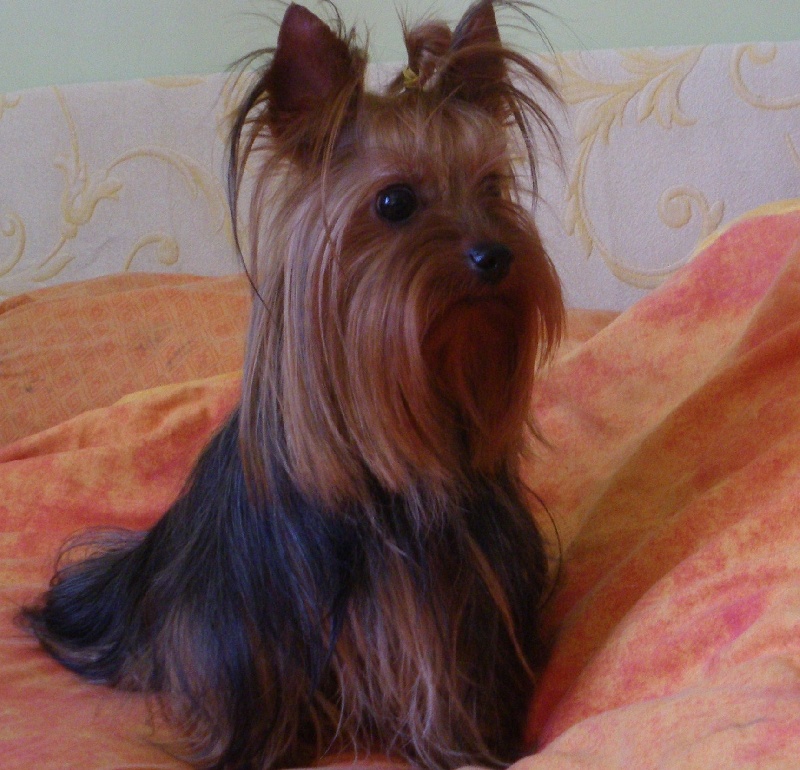 Charlotte De la Bergerie du Coteau