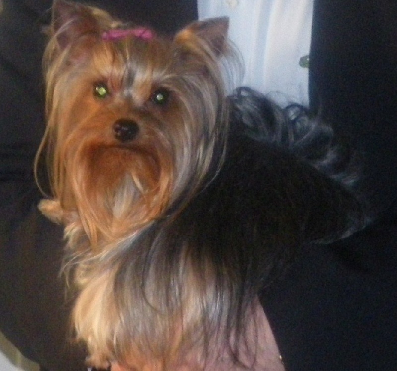 Dayanna De la Bergerie du Coteau