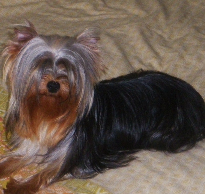 Lottie De la Bergerie du Coteau