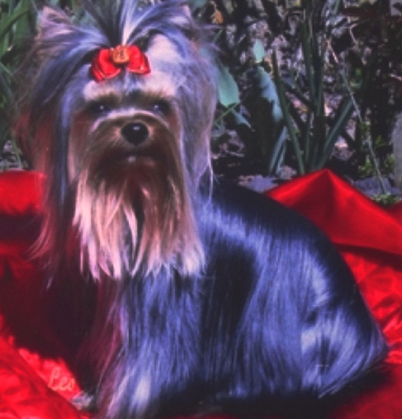 Gladys De la Bergerie du Coteau