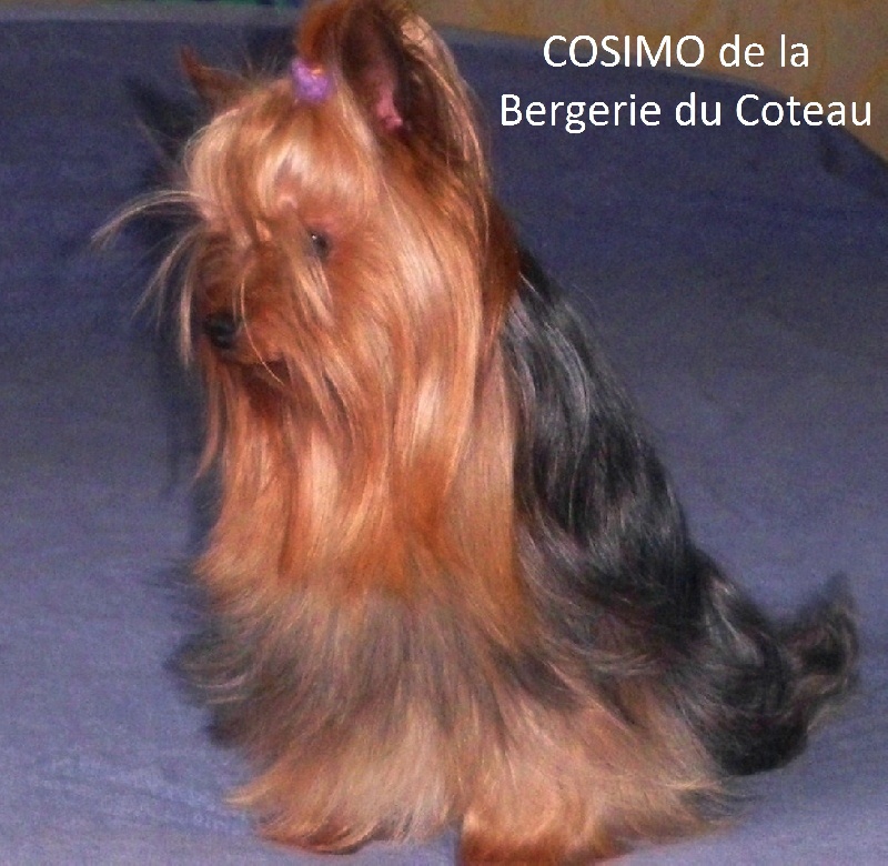 Cosimo De la Bergerie du Coteau