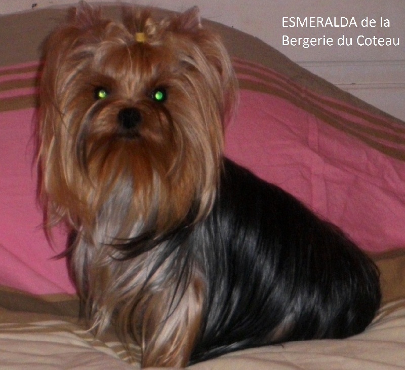 Esmeralda De la Bergerie du Coteau