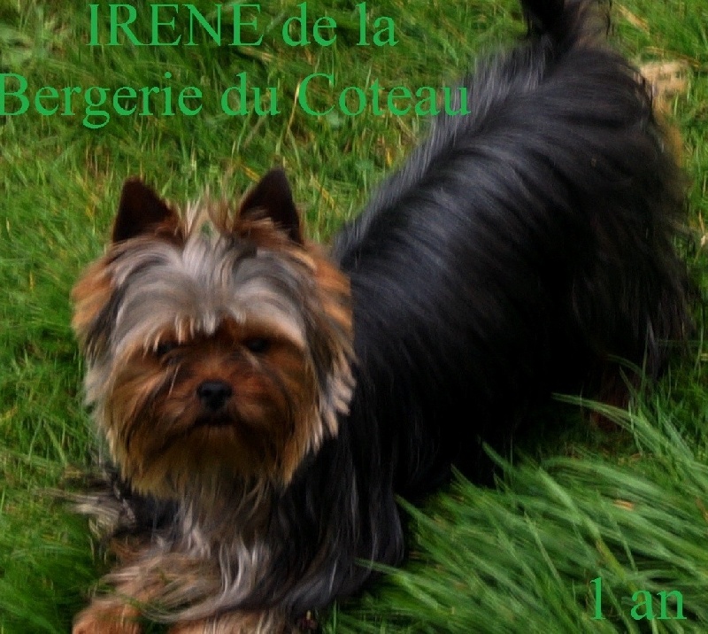 Irène De la Bergerie du Coteau