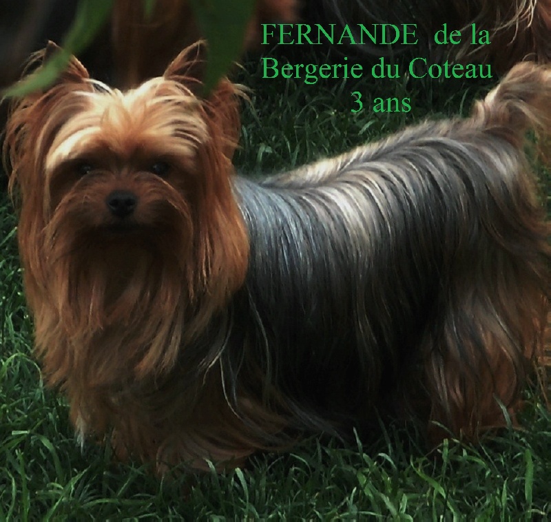 Fernande De la Bergerie du Coteau