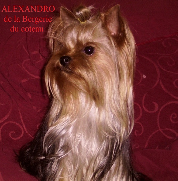 Alexandro De la Bergerie du Coteau