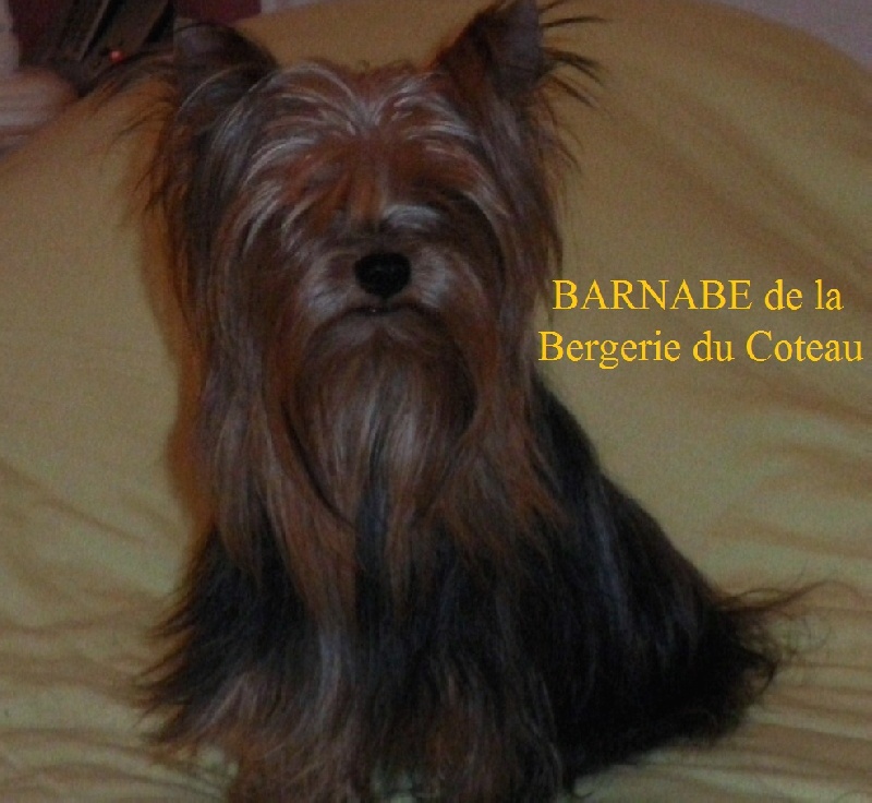 Barnabe De la Bergerie du Coteau