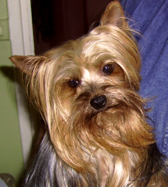 Fanchon De la Bergerie du Coteau