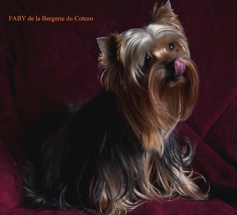 Faby De la Bergerie du Coteau