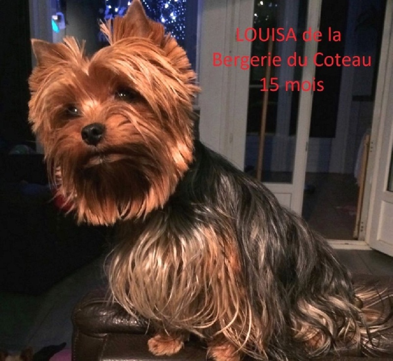 Louisa De la Bergerie du Coteau