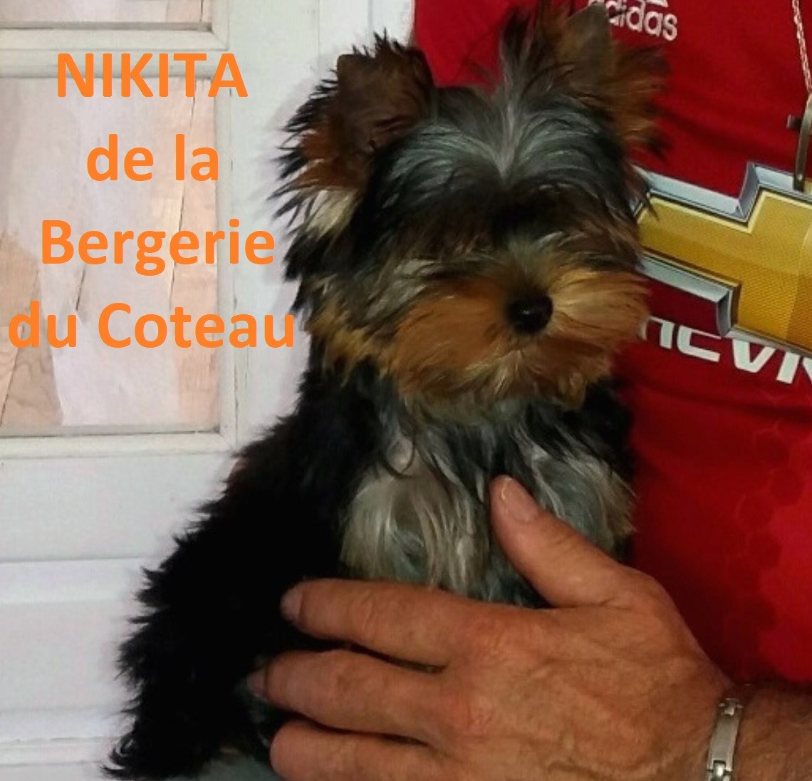 Nikita De la Bergerie du Coteau