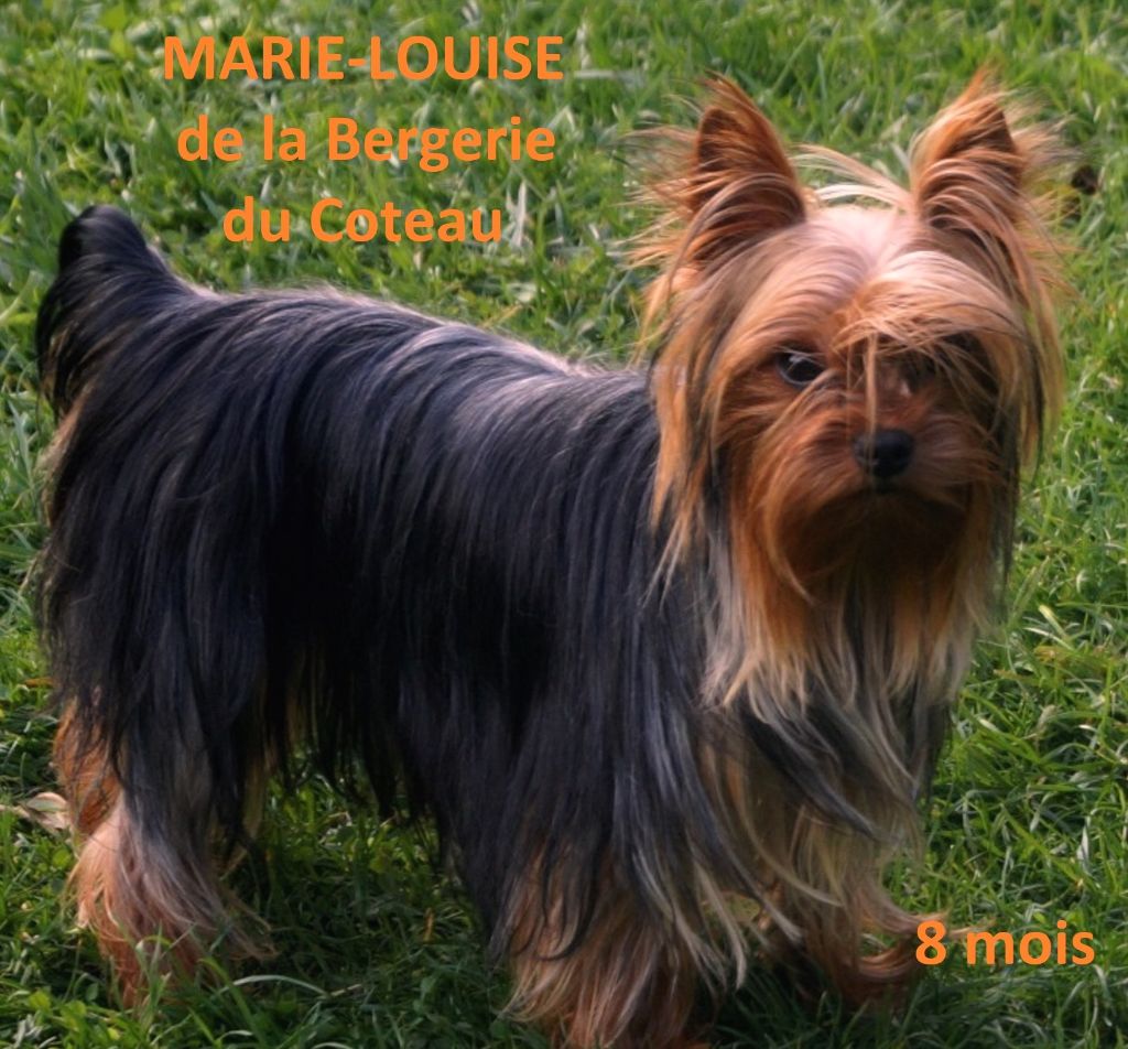 Marie-louise De la Bergerie du Coteau