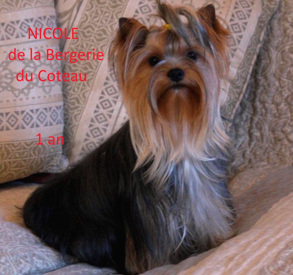 Nicole De la Bergerie du Coteau