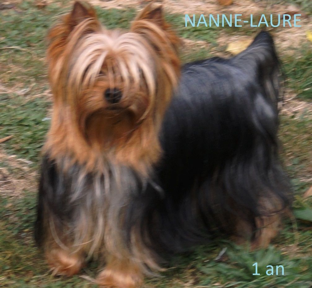 Nanne-laure De la Bergerie du Coteau